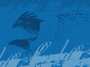eagle-aqua
