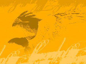 eagle-orange